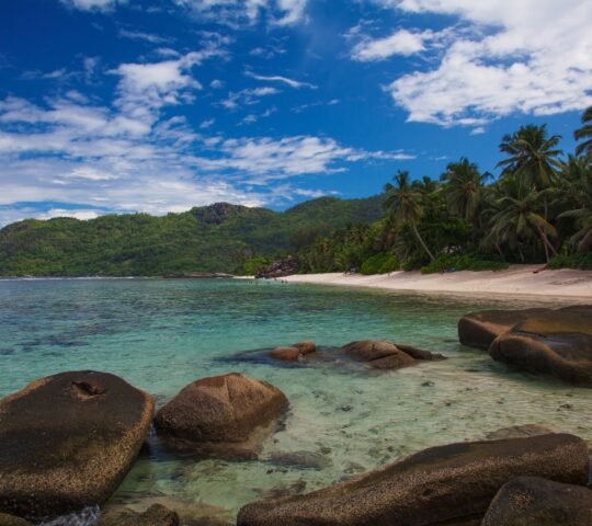 ANSE FORBANS