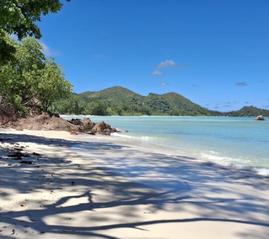 ANSE GOUVERNEMENT (MAHÉ)