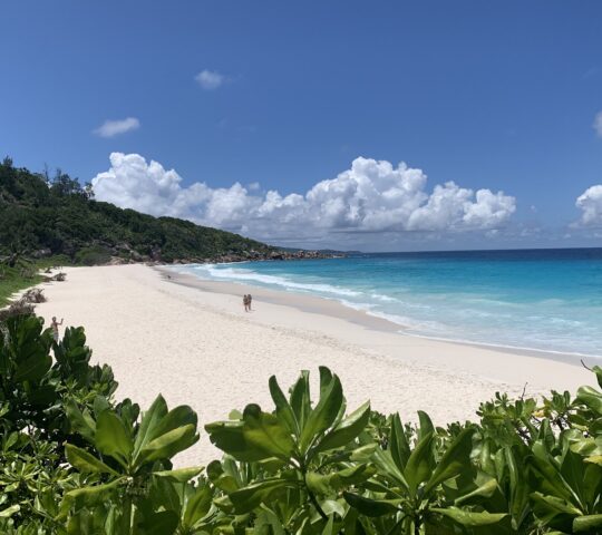 PETIT ANSE (LA DIGUE)