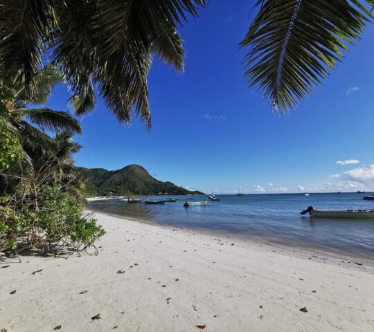 GRAND ANSE PRASLIN
