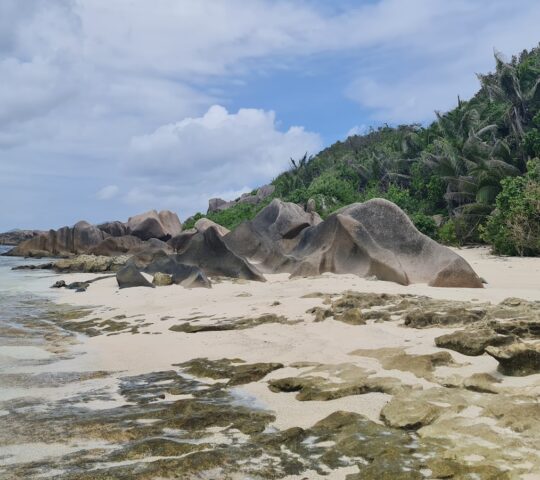 ANSE BONNET CARRÉ