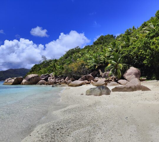 ANSE LA FARINE