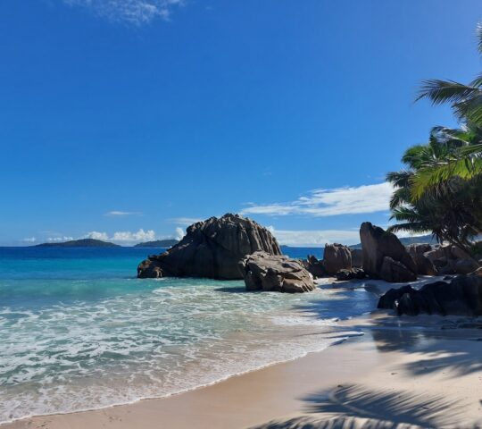 ANSE PATATES