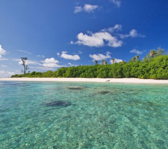 BIRD ISLAND LODGE