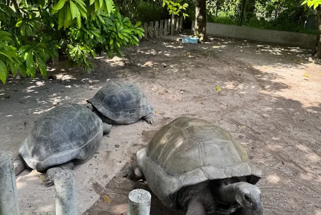 The Ultimate Wildlife Residency at AliBel Beach Villa, Mahe