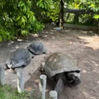 A Guide to Praslin Island in the Seychelles